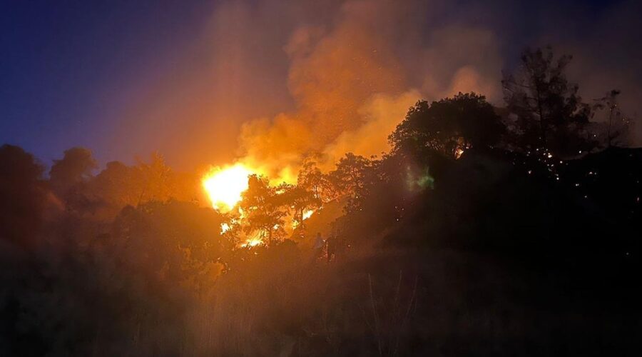 aydin efelerde ot yangini zeytinlige sicradi OkGIAgQL