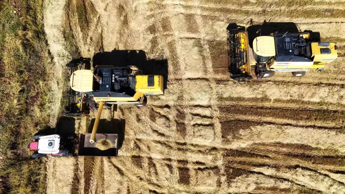 diyarbakirda karacadag pirinci hasadi basladi FMyYXvJf