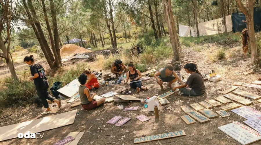 festival iptal edildi sebep israil mi orman yangini mi gpDEWRf6