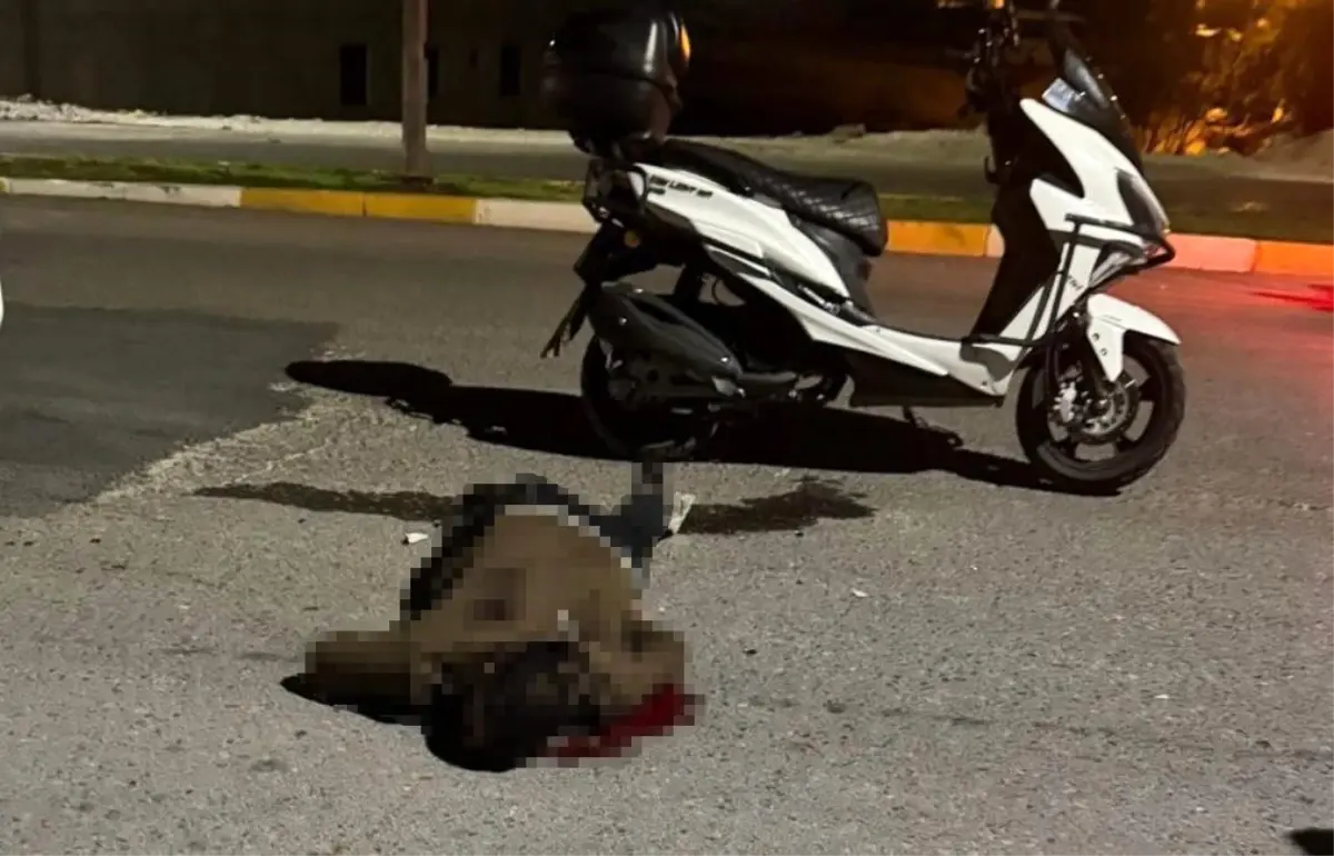 bicakli saldiri sanliurfada genc hayatini kaybetti 9bKsBQiR