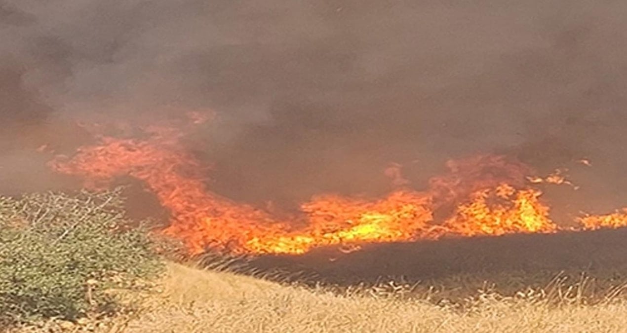 izmirde anizda cikip agaclik alana sicrayan yangin sonduruldu 3NG36FVQ