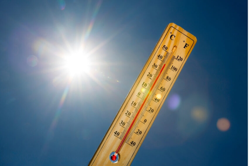 Belcikada haziranin sonundaki sicak hava dalgasinda avrupadaki en yuksek asiri olum orani kaydedildi 6dzTFeS6