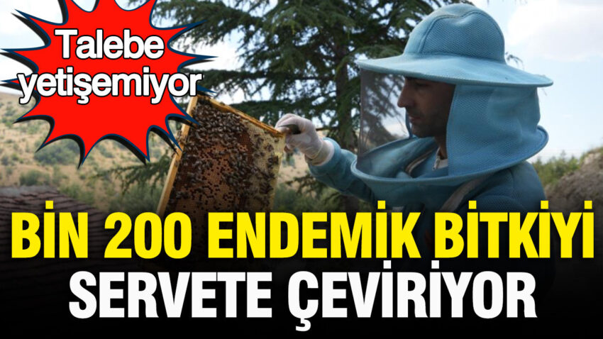 Talebe yetisemiyor bin 200 endemik bitkiyle uretilen bali tum turkiyeye satiyor hUmM3mc9
